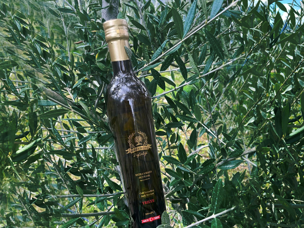 Trilye Early Harvest Olive Oil